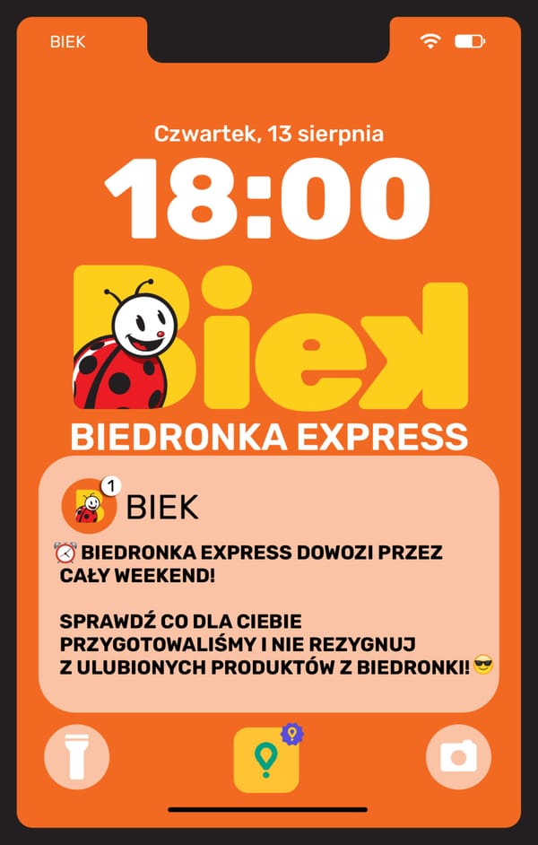  Biedronka gazetka promocyjna od 13 sierpnia 2026 aktualna - zakupy online