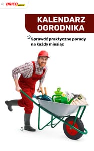 99