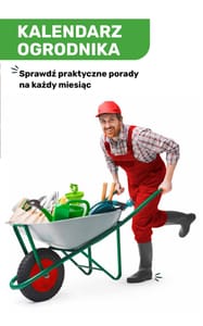 121