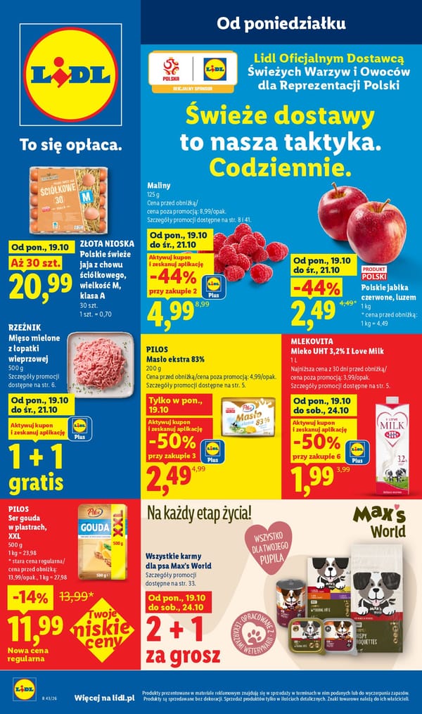  Lidl gazetka promocyjna od 19 października 2026 aktualna - tańsze zakupy