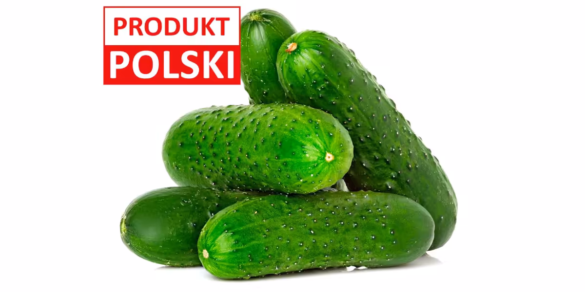 Lidl: -53% na polskie ogórki gruntowe