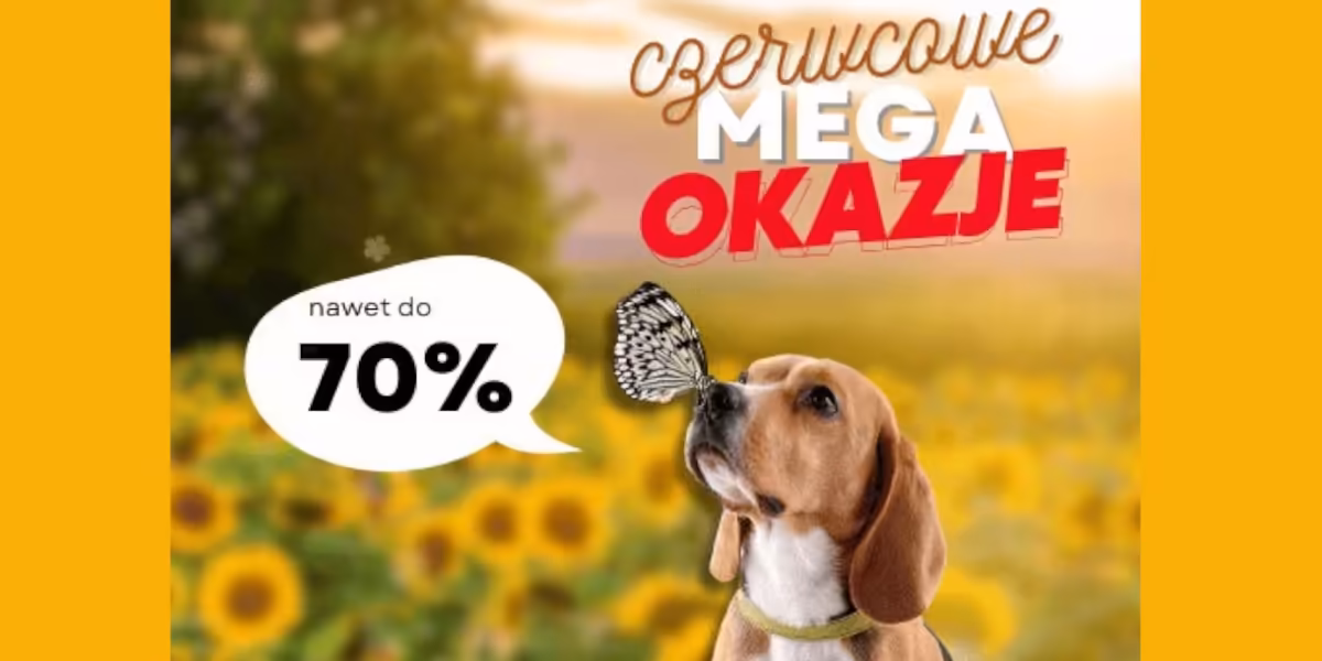 Fera: Do -70% na czerwcowe okazje