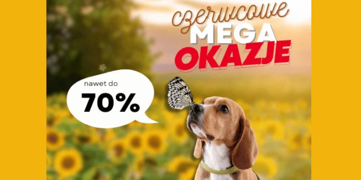 Fera: Do -70% na czerwcowe okazje 10.06.2025