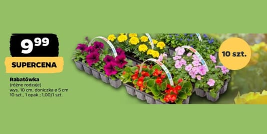Netto: 9,99 zł za Bratki, 10 szt. opak. 15.05.2025