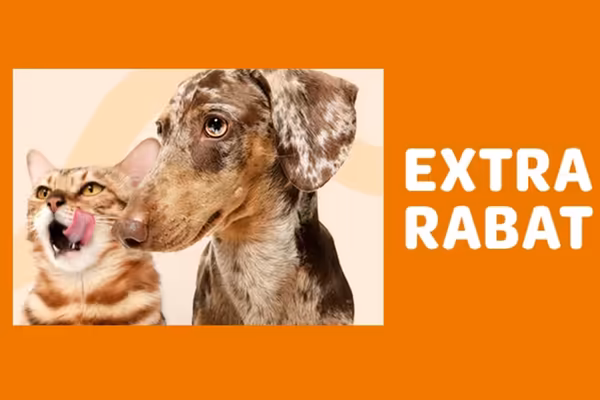 zooplus:  Extra rabaty w Zooplus