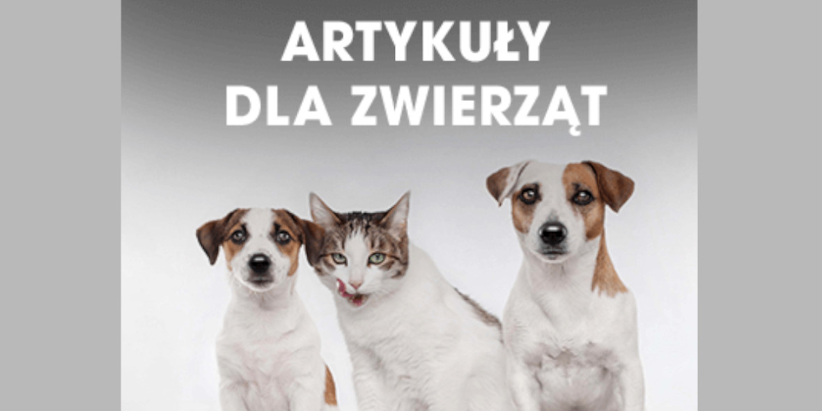 Biedronka Home:  Artykuły dla zwierząt w dobrych cenach 28.05.2025