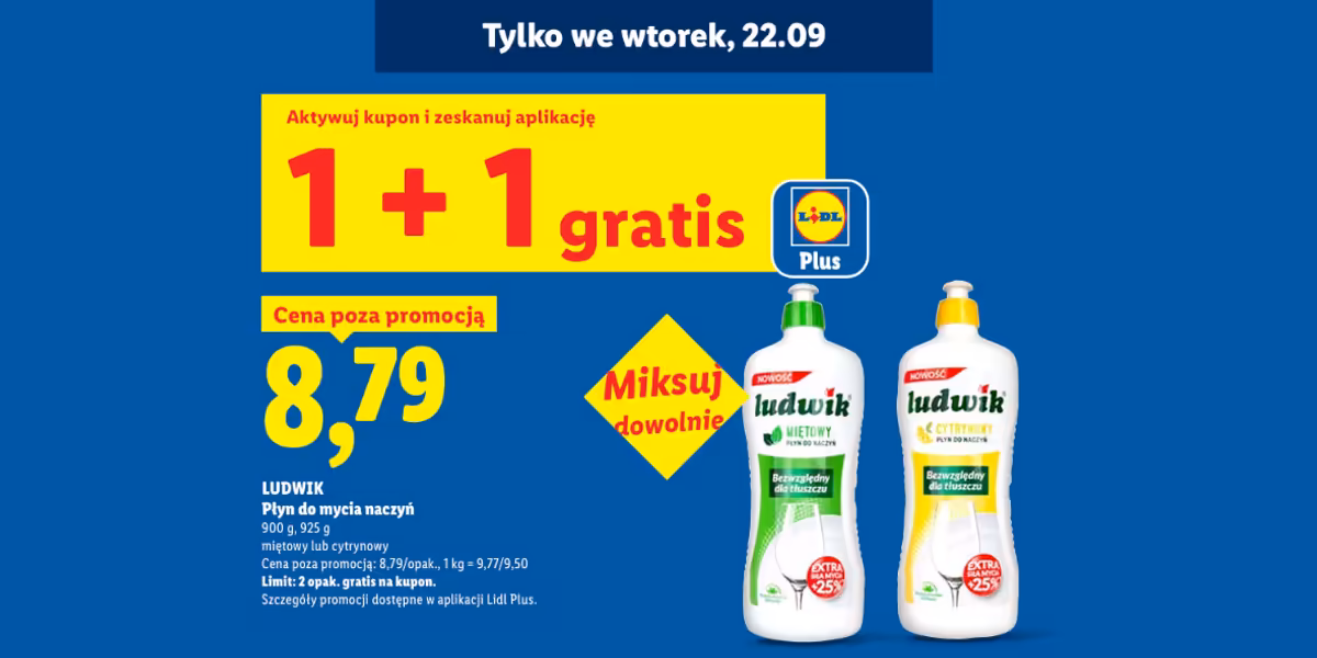 Lidl: KUPON 1 + 1 GRATIS na płyn Ludwik