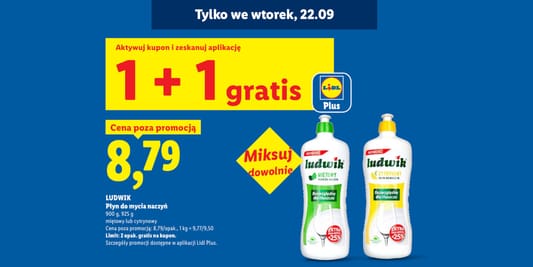 Lidl: KUPON 1 + 1 GRATIS na płyn Ludwik 22.09.2026