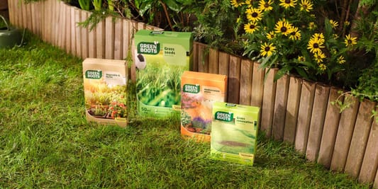 Action:  Green Boots - Stwórz swoją zieloną oazę 04.03.2026