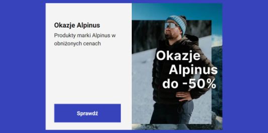 Decathlon: Do -50% na markę Alpinus 02.12.2024