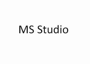 MS-STUDIO