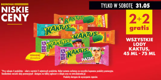 Biedronka: 2+2 GRATIS na wszystkie lody Kaktus 31.05.2025