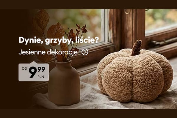 Sinsay:  Jesienne dekoracje