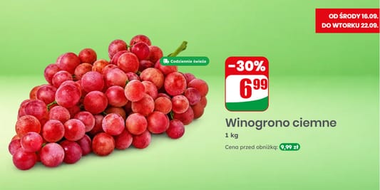 Dino: -30% na winogrona ciemne 16.09.2026