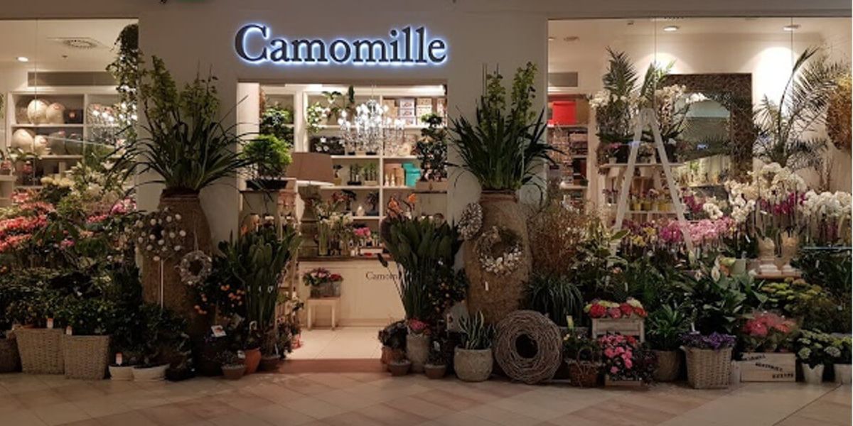 Kwiaciarnia Camomille: -10% na wybrany asortyment