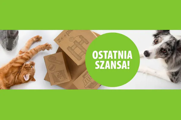 :  zooOutlet dla psów, kotów i gryzoni