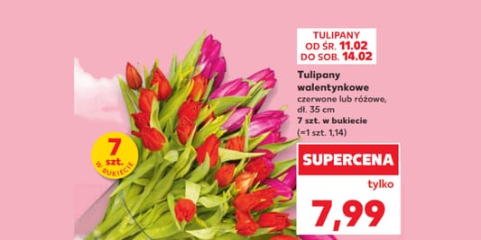 Kaufland: 7,99 zł za tulipany, 7 sztuk w bukiecie 11.02.2026