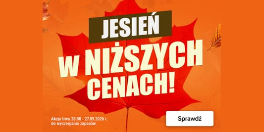 Biedronka Home: Do -55% na jesienny asortyment 08.09.2026
