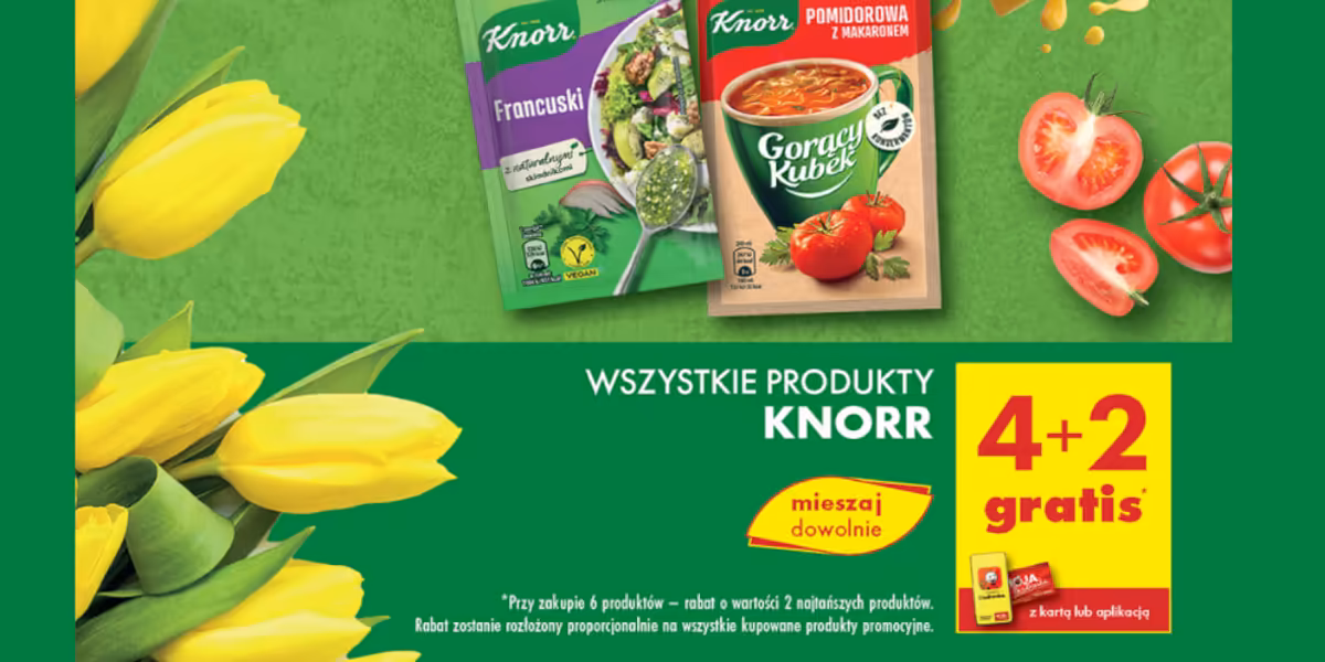 Biedronka: 4+2 GRATIS na wszystkie produkty Knorr