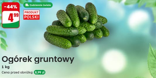 Dino: -44% na ogórki gruntowe 05.05.2025
