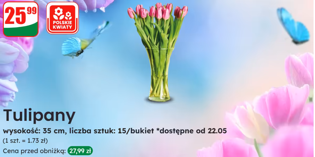 Dino: 25,99 zł za bukiet tulipanów