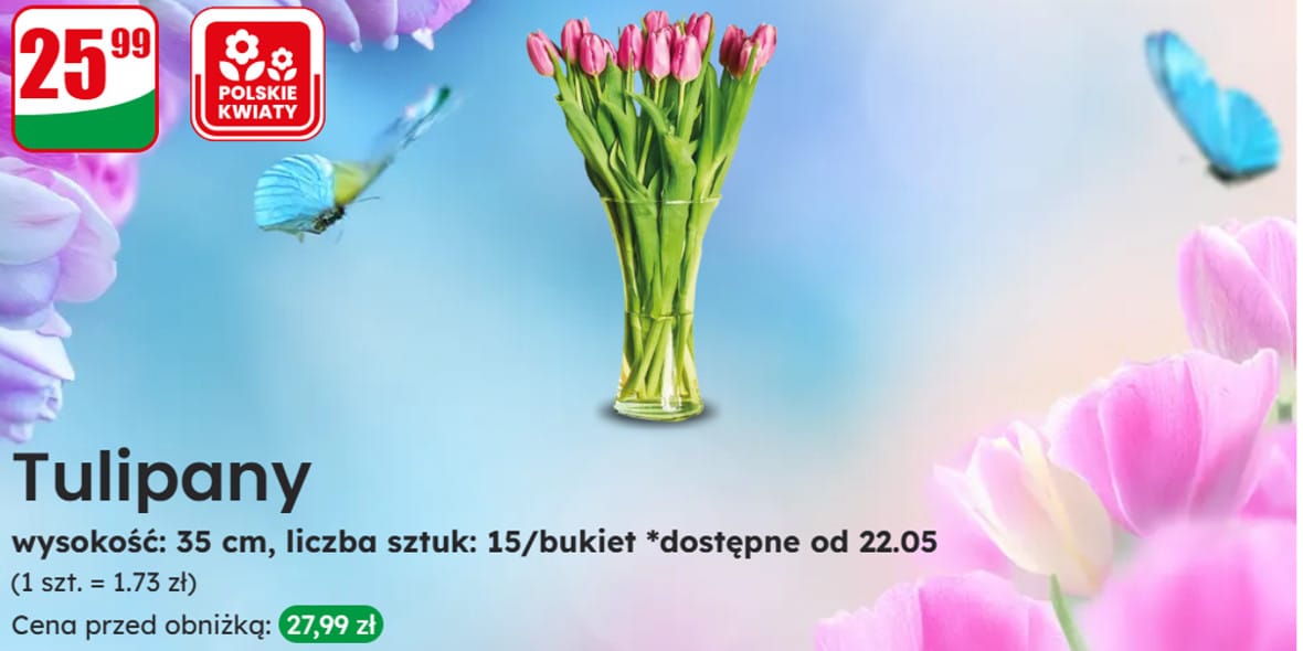 Dino: 25,99 zł za bukiet tulipanów 22.05.2025