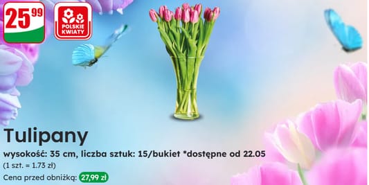 Dino: 25,99 zł za bukiet tulipanów 22.05.2025
