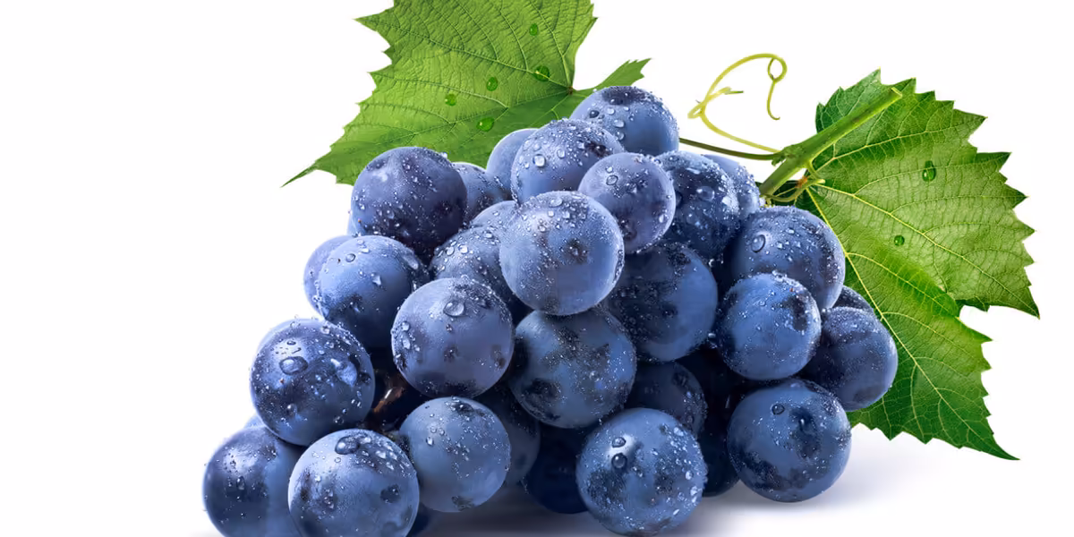 Lidl: -40% na winogrona ciemne