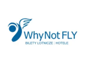 Why Not Fly