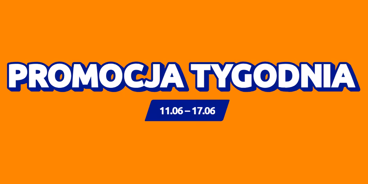 Action: Od 2,49 zł za produkty tygodnia w Action
