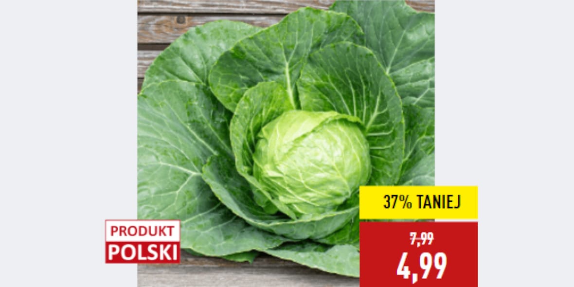 Aldi: -37% na polską młodą kapustę białą 19.05.2025