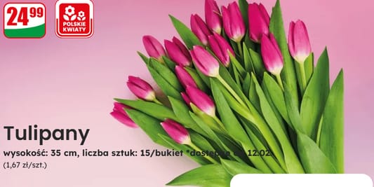 Dino: 24,99 zł za bukiet tulipanów 12.02.2026