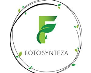 Fotosynteza