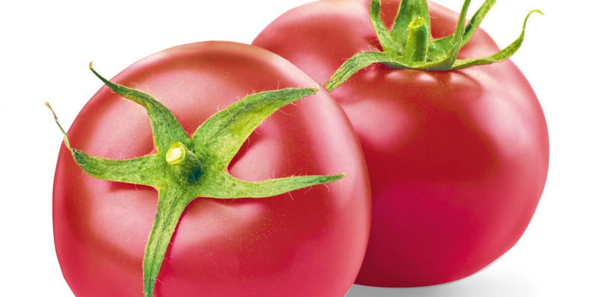 Lidl: -46% na pomidory malinowe