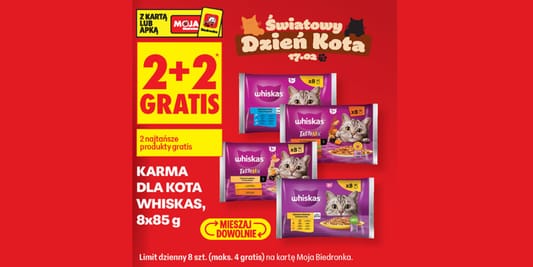 Biedronka: 2+2 GRATIS na karmy dla kota Whiskas 16.02.2026