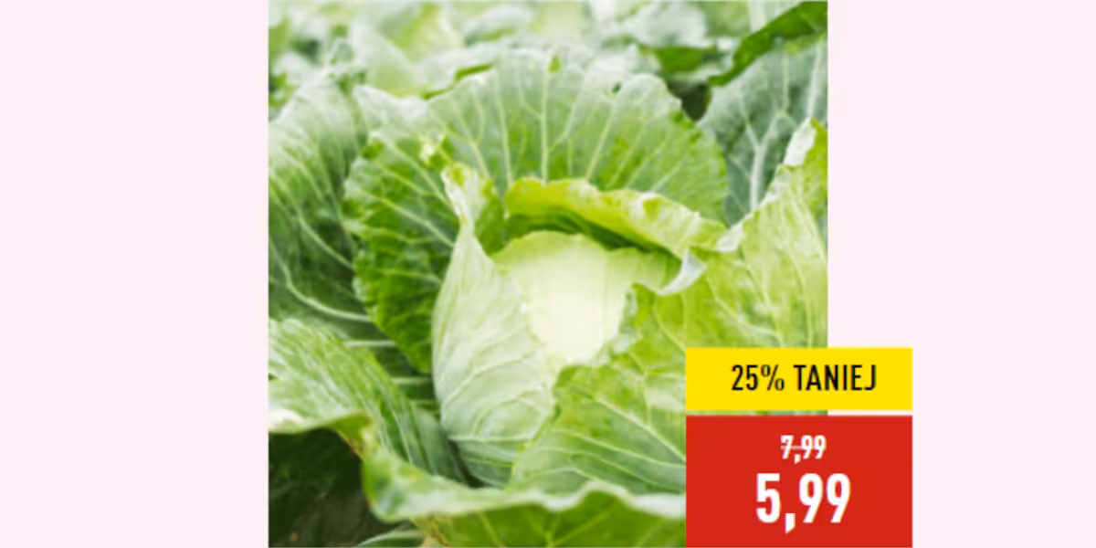 Aldi: -25% na młodą kapustę białą