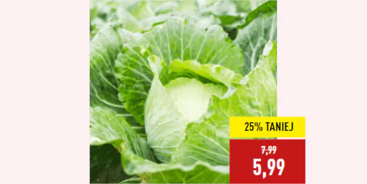 Aldi: -25% na młodą kapustę białą 06.05.2025