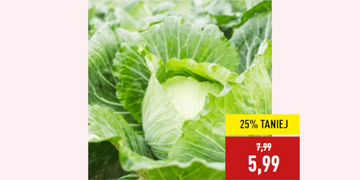 Aldi: -25% na młodą kapustę białą