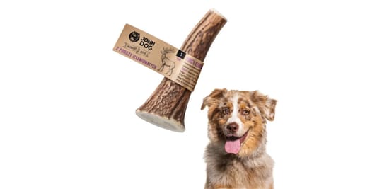 Johndog.pl: -25% na poroże do gryzienia 28.11.2025