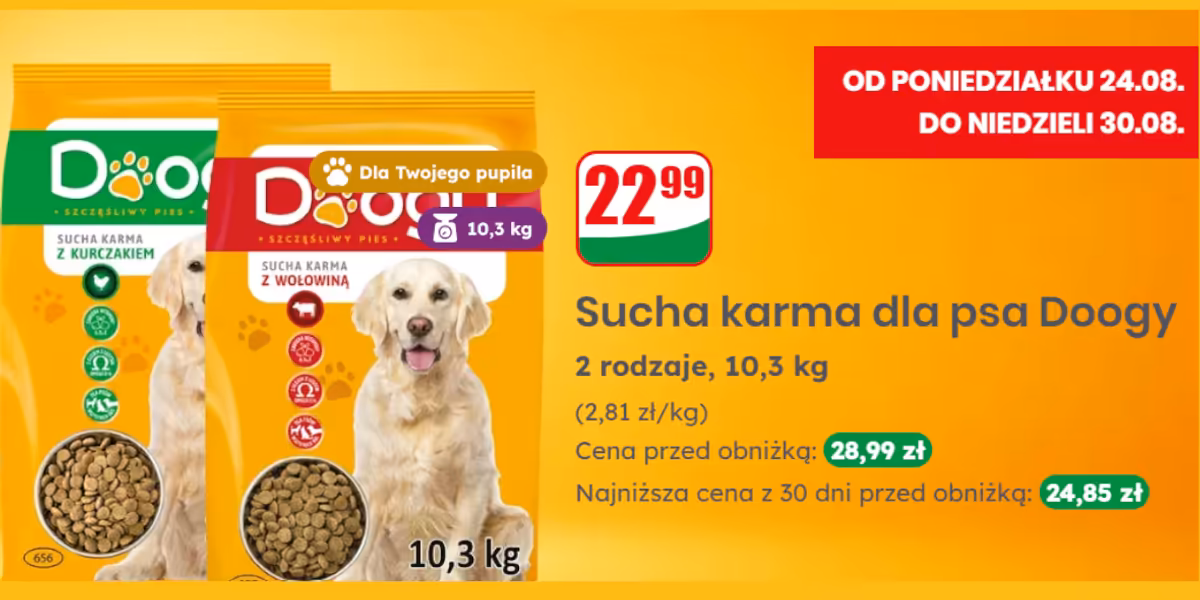 Dino: 22,99 zł za suchą karmę Doogy