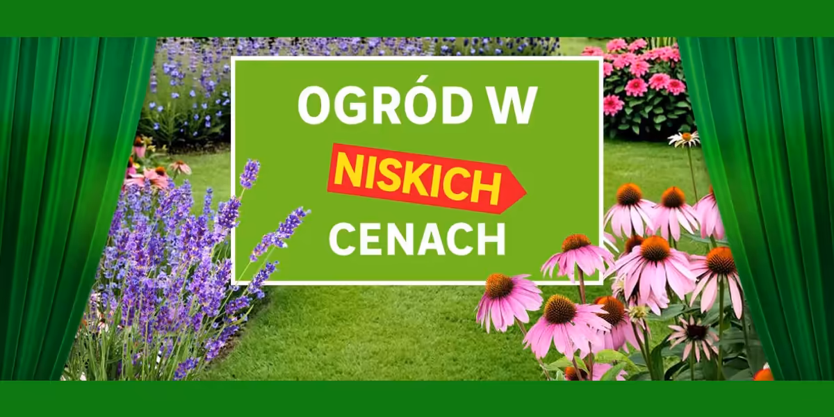 Leroy Merlin: Ogród w NISKICH CENACH
