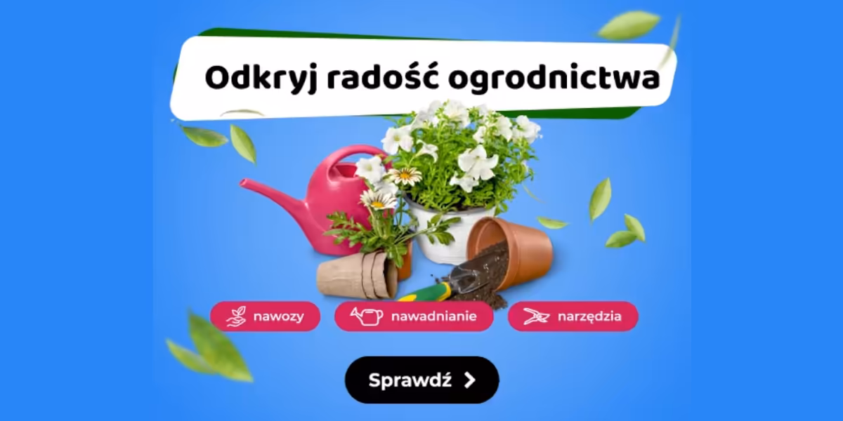 Bee: Wszystko do ogrodu na Bee