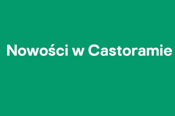 :  Nowości w Castoramie