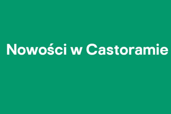 :  Nowości w Castoramie