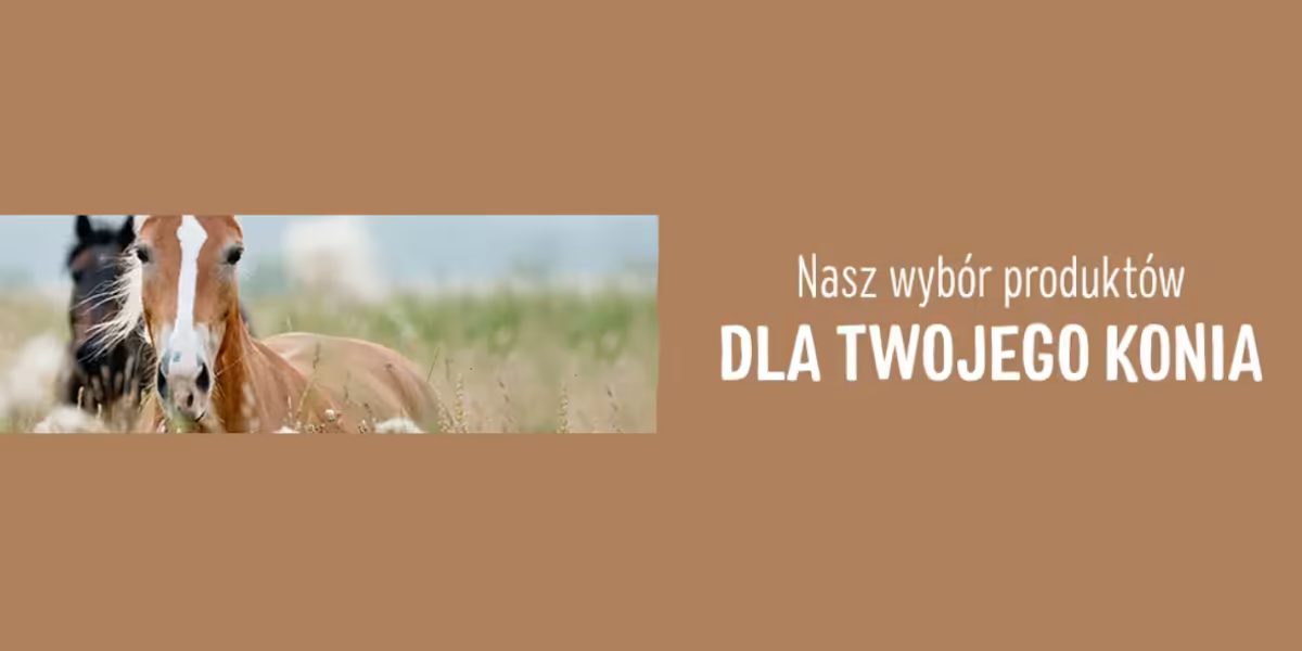 zooplus: Wszystko dla koni