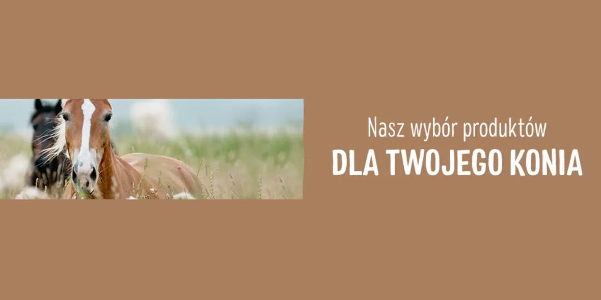 zooplus:  Wszystko dla koni 07.05.2025