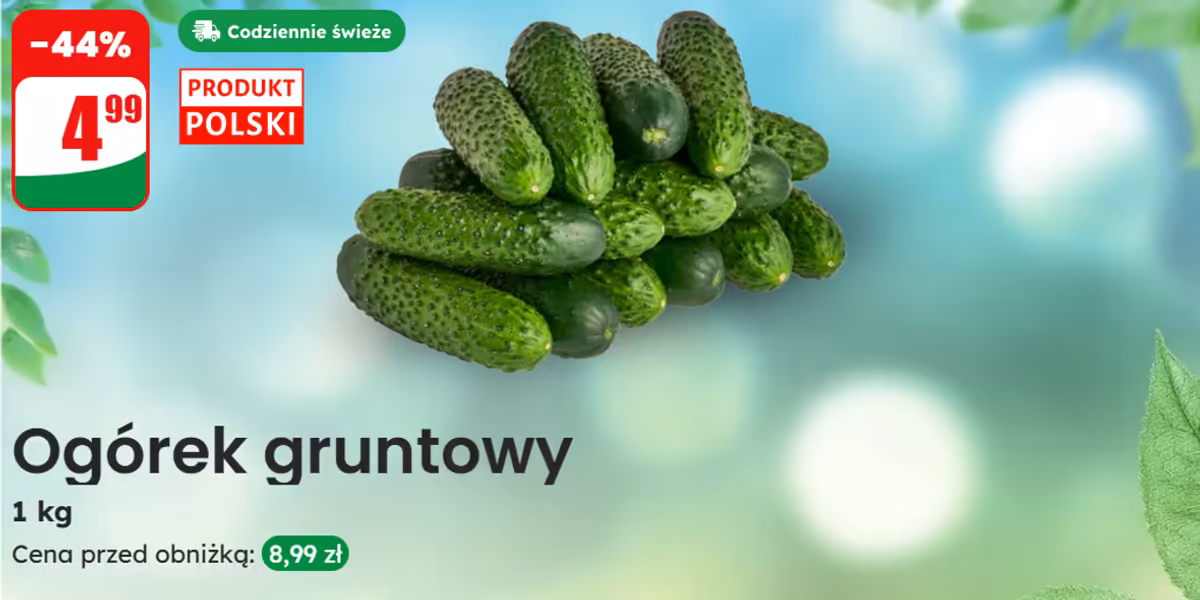 Dino: -44% na ogórki gruntowe