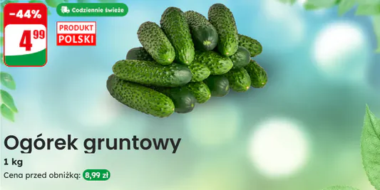 Dino: -44% na ogórki gruntowe 26.05.2025