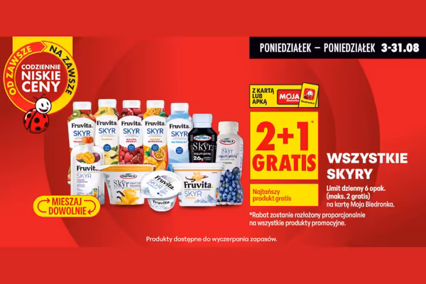 Biedronka: 2+1 GRATIS na wszystkie skyry