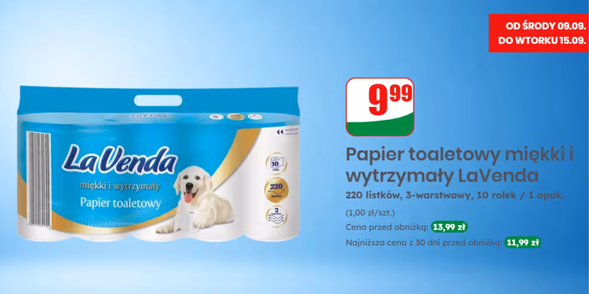Dino: 9,99 zł za papier toaletowy LaVenda
